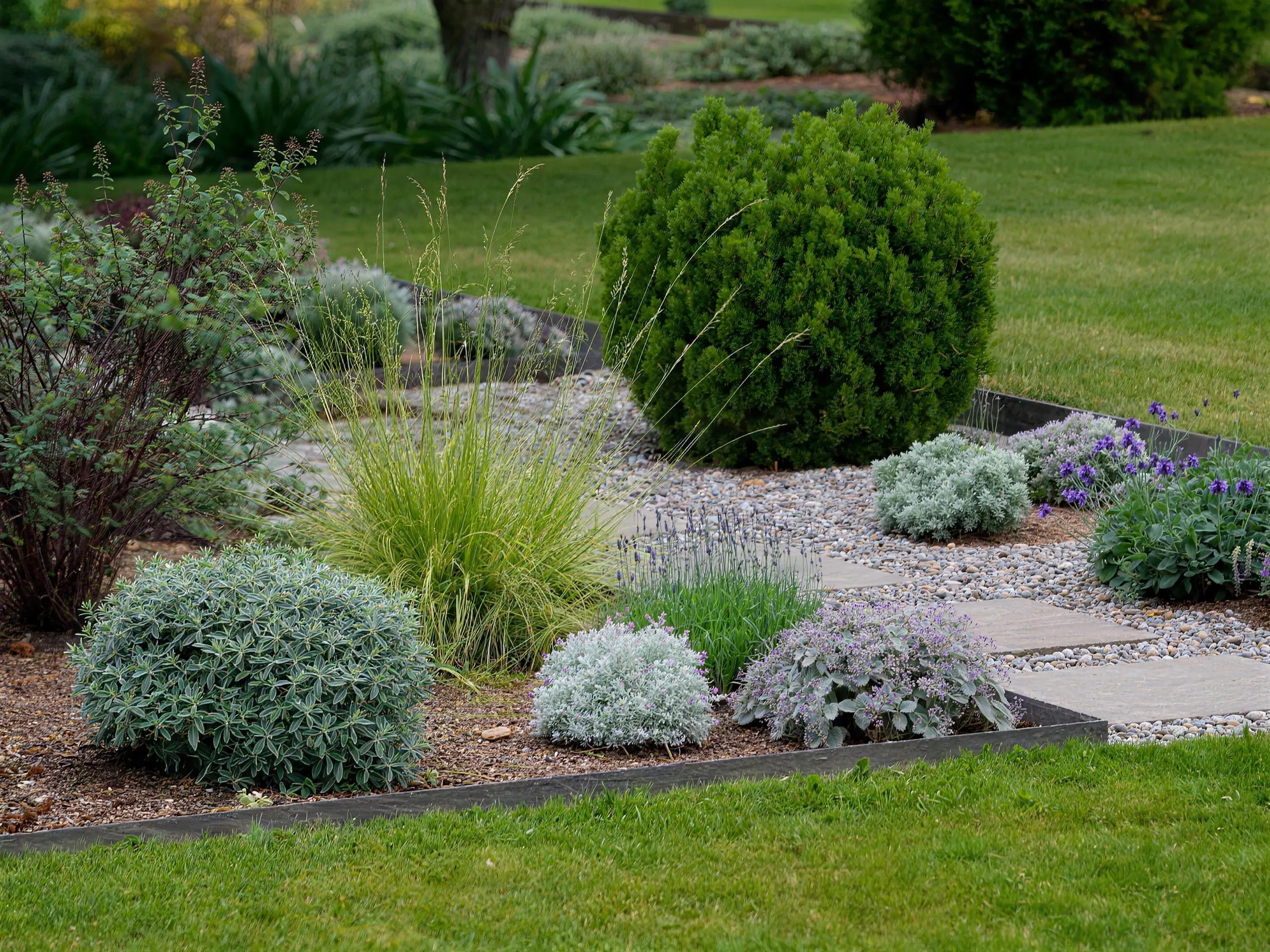 Onderhoudsarme tuin — Onderhoudsarme tuin met vaste beplanting en grind in plaats van een gazon, daglicht.